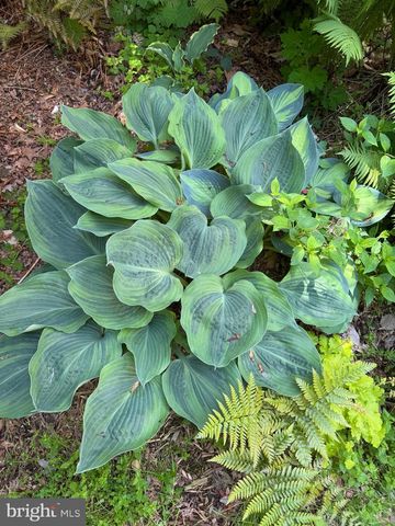 12495 MANCHESTER WAY, Woodbridge, VA 22192