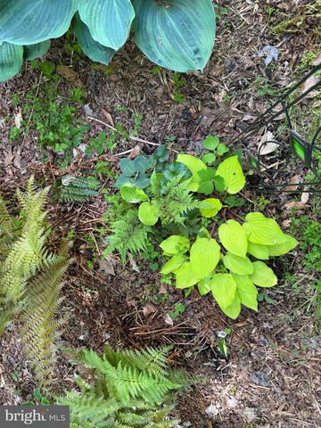 12495 MANCHESTER WAY, Woodbridge, VA 22192