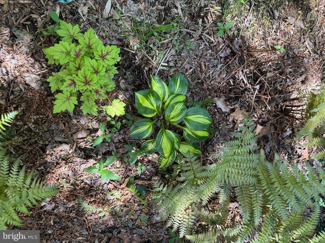 12495 MANCHESTER WAY, Woodbridge, VA 22192