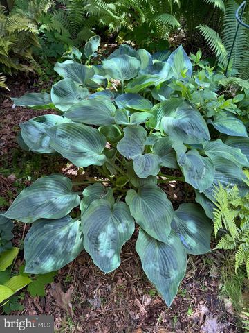 12495 MANCHESTER WAY, Woodbridge, VA 22192