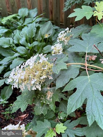 12495 MANCHESTER WAY, Woodbridge, VA 22192