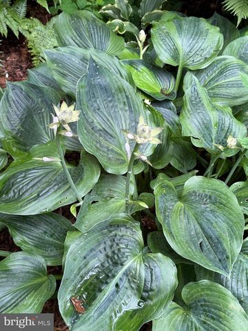 12495 MANCHESTER WAY, Woodbridge, VA 22192