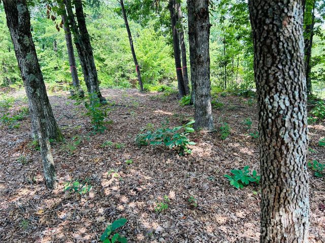 8799 Lisa Trail, Connelly Springs, NC 28612