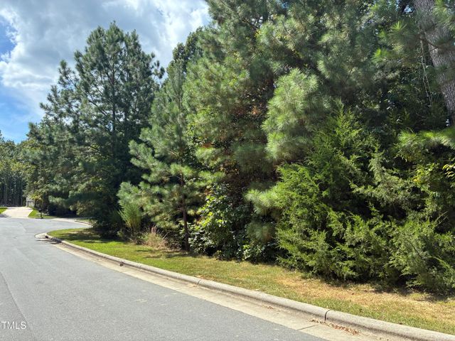 44 Sweet Meadow Lane, Pittsboro, NC 27312