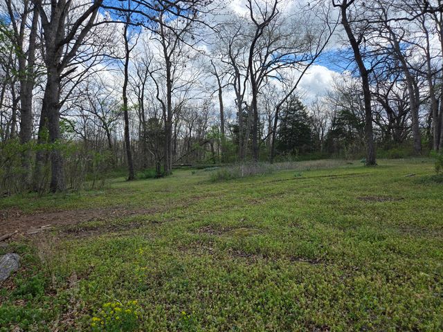 22407 Farm Road 2012, Crane, MO 65633