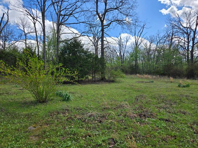 22407 Farm Road 2012, Crane, MO 65633