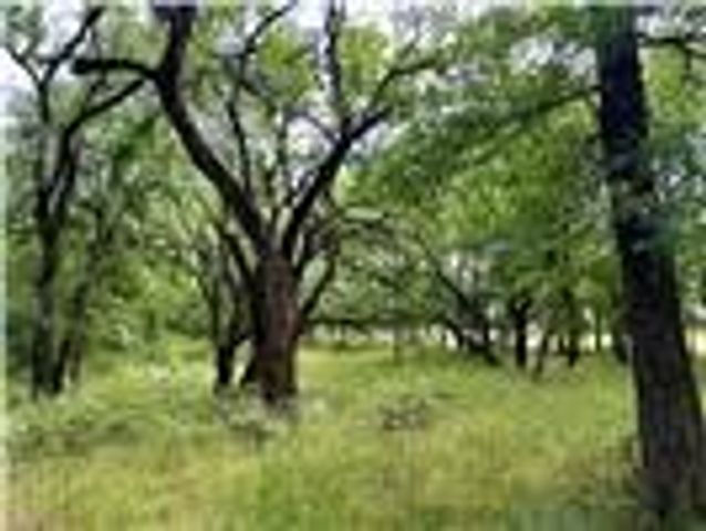 2396 County Road 2145, Cooper, TX 75432