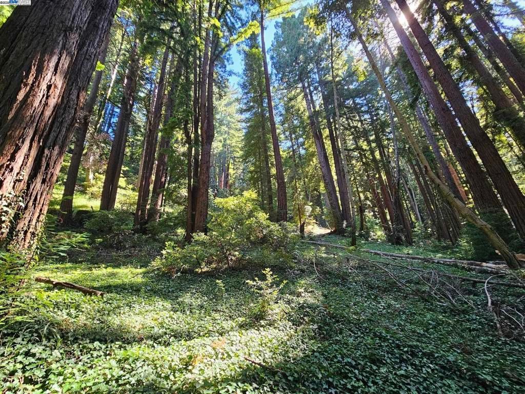 26 Old La Honda Rd, Woodside, CA 94062