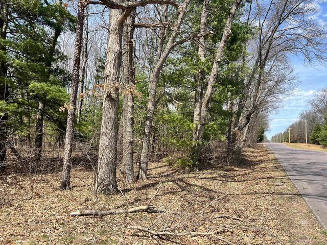 L 87 & 102 13th Drive, Friendship, WI 53934