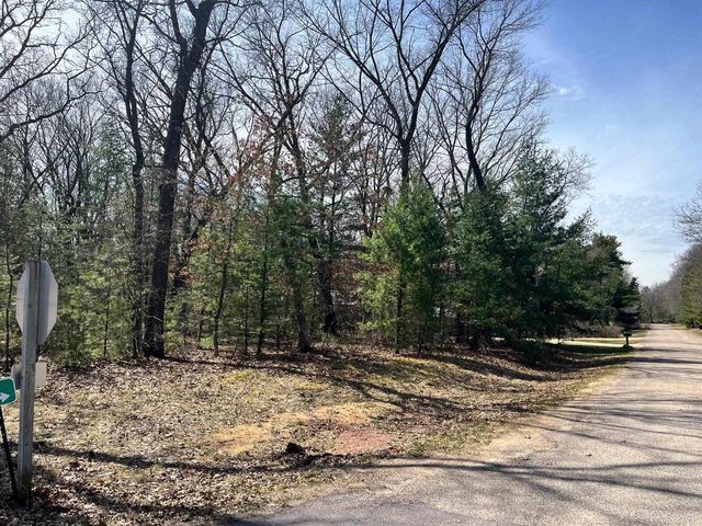 L 87 & 102 13th Drive, Friendship, WI 53934