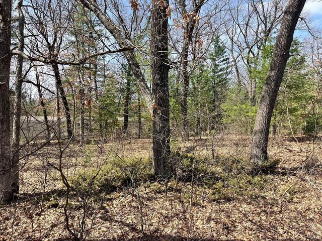 L 87 & 102 13th Drive, Friendship, WI 53934