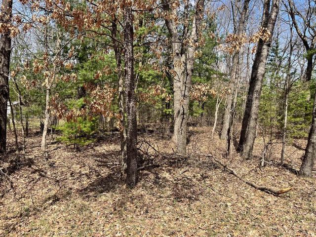 L 87 & 102 13th Drive, Friendship, WI 53934