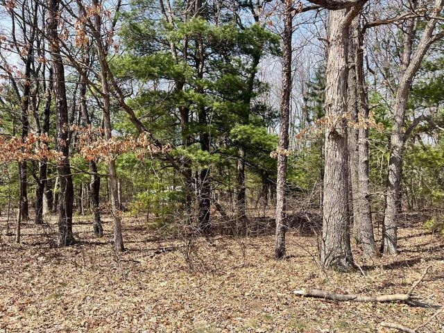 L 87 & 102 13th Drive, Friendship, WI 53934