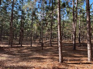 Lot 5, 3+-ac Cty Rd 18, Headland, AL 36345