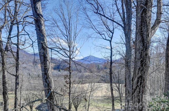 241 Sherrill Lane, Canton, NC 28716