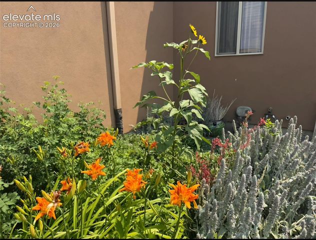 1748 N Wyatt Earp Lane, Pueblo West, CO 81007