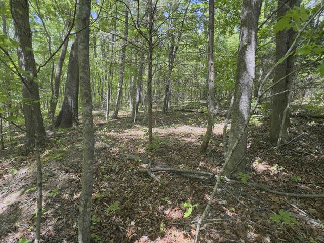 0 Westfork Creek Rd, Westmoreland, TN 37186
