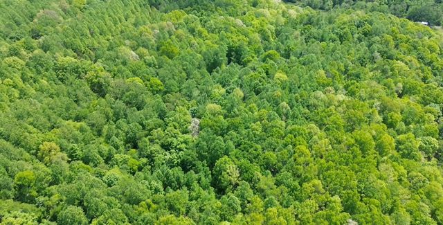 0 Westfork Creek Rd, Westmoreland, TN 37186
