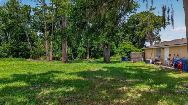 6817 N BLOSSOM AVENUE, Tampa, FL 33614