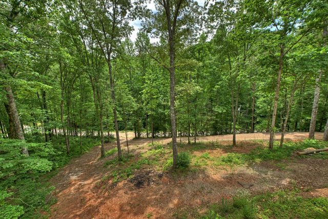 200 Mcfarland Road, Turtletown, TN 37391
