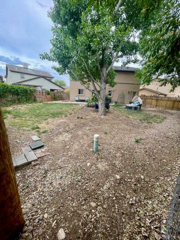 317 Carriage Hills Court, Grand Junction, CO 81503