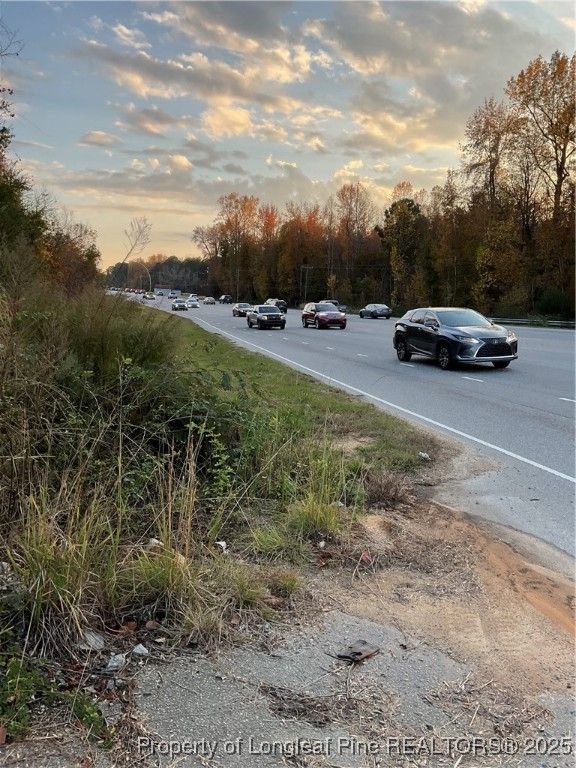 NC 87 N TBD Hwy 87 N Highway, Sanford, NC 27330 — photo 4