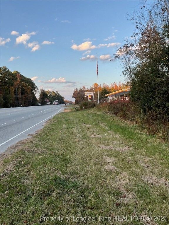NC 87 N TBD Hwy 87 N Highway, Sanford, NC 27330 — photo 5