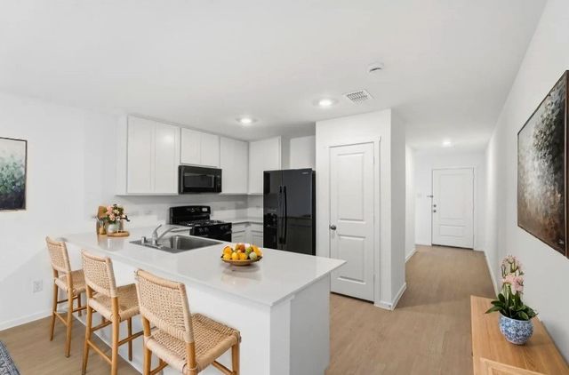 1029 Calley Pear Trail, Princeton, TX 75407