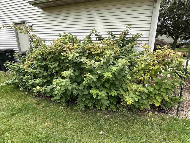 1643 Erin Hill, Stoughton, WI 53589