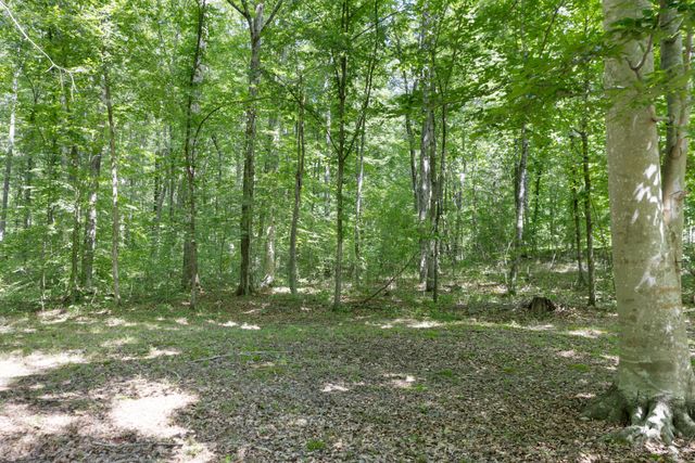 1065 Lee Greer Rd, Ashland City, TN 37015