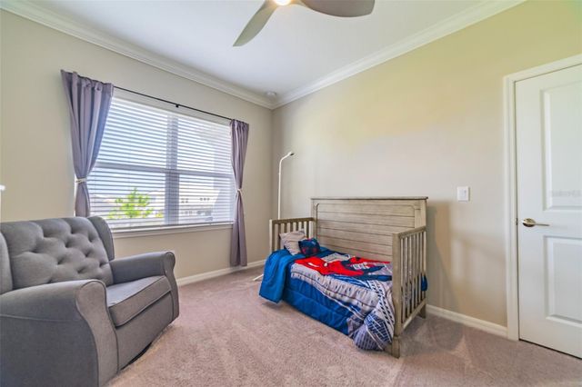 34087 ASTORIA CIRCLE, Wesley Chapel, FL 33545