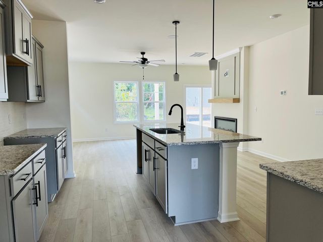 514 Cooley Farm Court, Blythewood, SC 29016