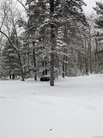 3821 S Townline Road, Prudenville, MI 48651