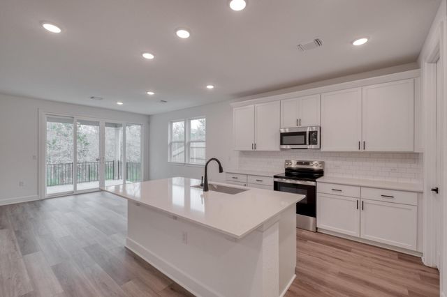 16904 Astral LN, Manor, TX 78653
