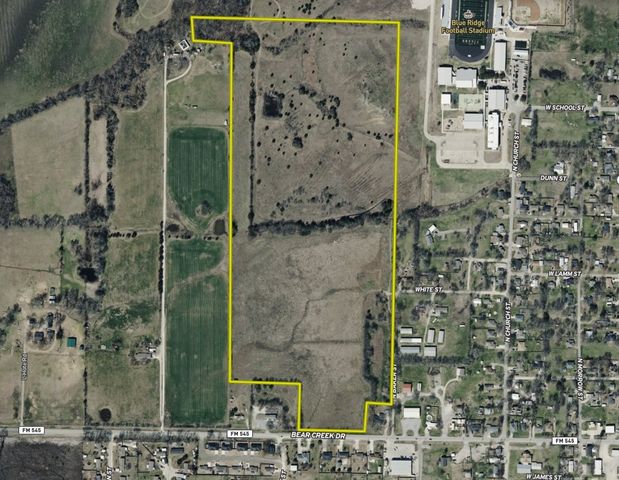 59 Acres W FM 545, Blue Ridge, TX 75424
