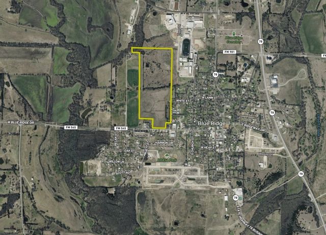 59 Acres W FM 545, Blue Ridge, TX 75424