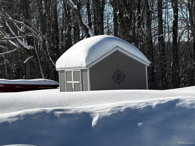 4995 E Slapneck Road, Chatham, MI 49816