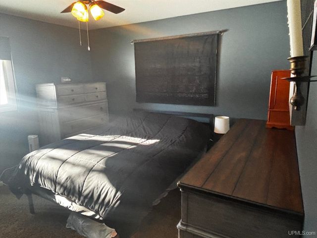 4995 E Slapneck Road, Chatham, MI 49816