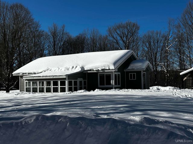 4995 E Slapneck Road, Chatham, MI 49816