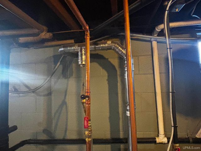 4995 E Slapneck Road, Chatham, MI 49816