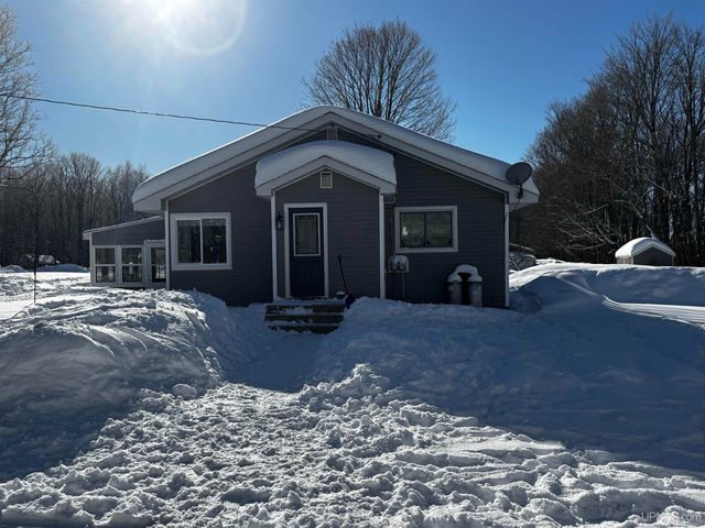 4995 E Slapneck Road, Chatham, MI 49816