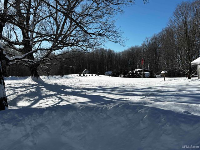 4995 E Slapneck Road, Chatham, MI 49816