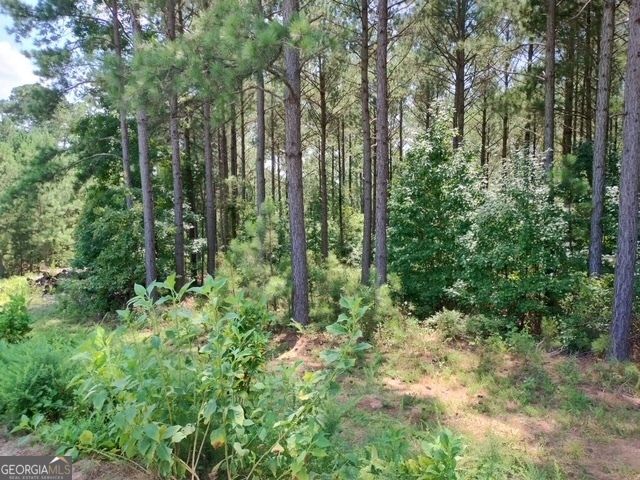 1039 Merganser Coves, Tignall, GA 30668