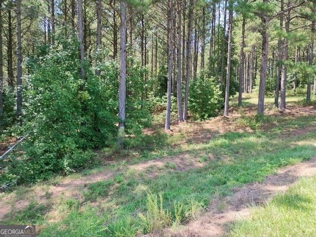 1039 Merganser Coves, Tignall, GA 30668