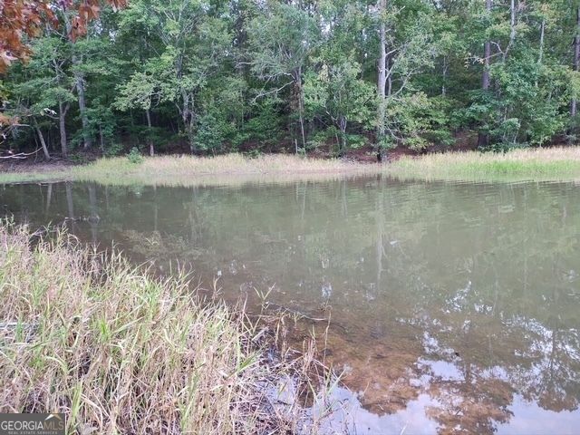 1039 Merganser Coves, Tignall, GA 30668