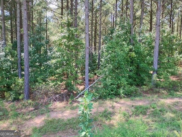 1039 Merganser Coves, Tignall, GA 30668