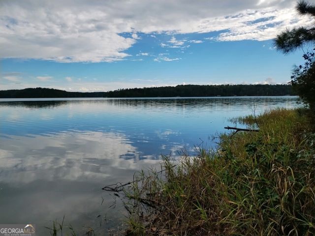 1039 Merganser Coves, Tignall, GA 30668