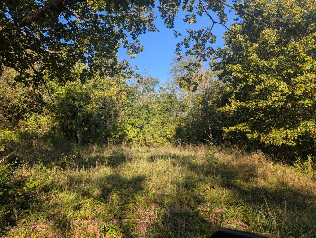 19,20,21 Turkey Mtn. Estates #2, Shell Knob, MO 65747
