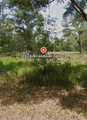 11624 N LANDOVER TERRACE, Dunnellon, FL 34434
