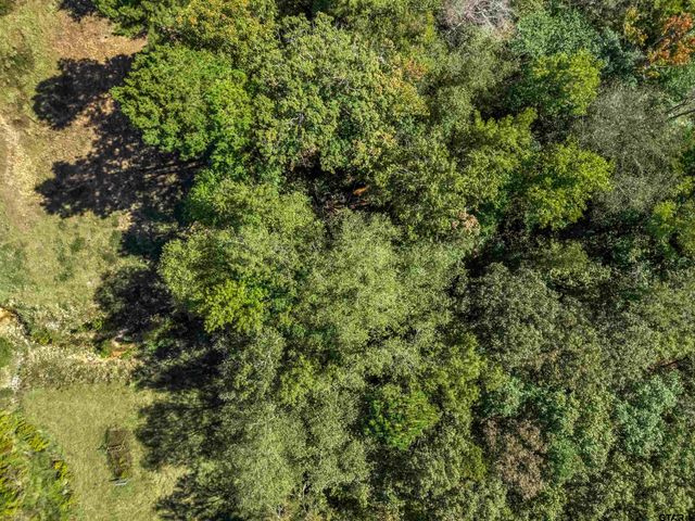 1159 County Road 479D, Mt Enterprise, TX 75681